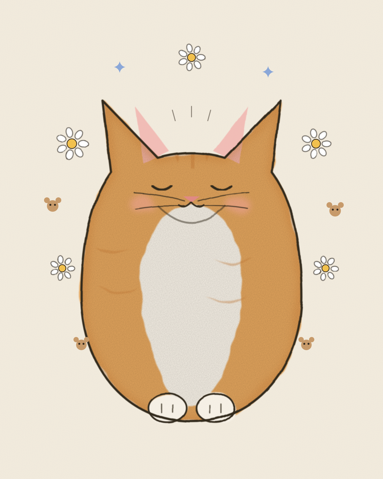 Рудий котик дивиться вгору